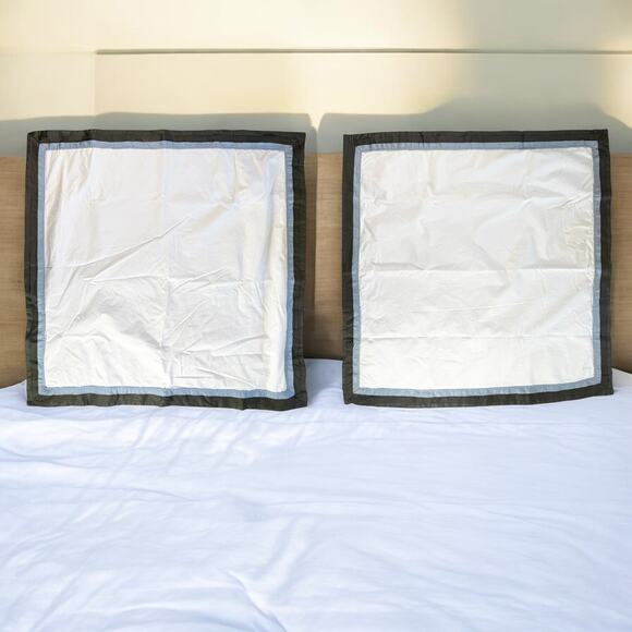Restorative Hardware Set 2 Egyptian Cotton Blue & White Square Pillow Shams READ - Picture 1 of 15